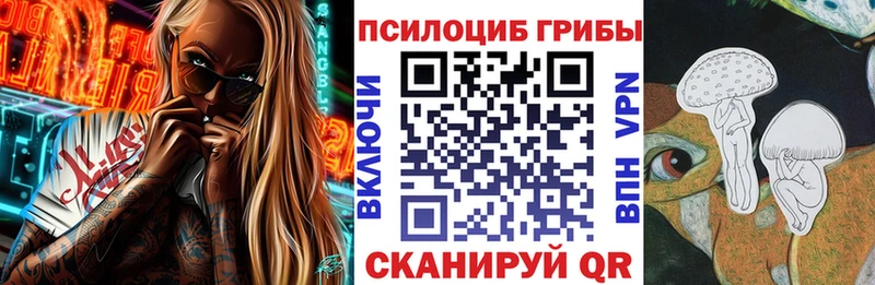 Псилоцибиновые грибы Cubensis  Купить  Куса 